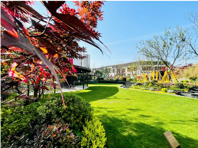 1631928522273277.png image.png