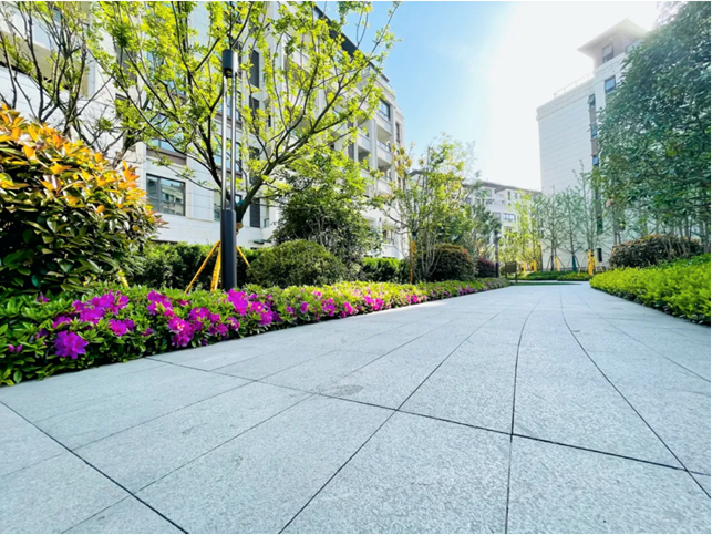 1631928550252869.png image.png