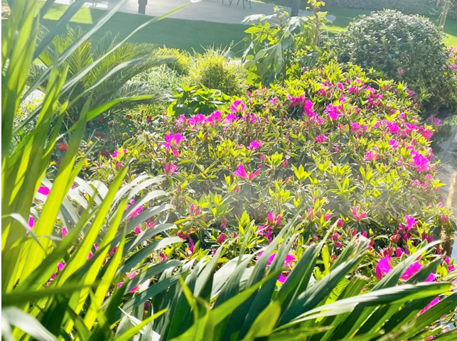 1631928623278936.png image.png