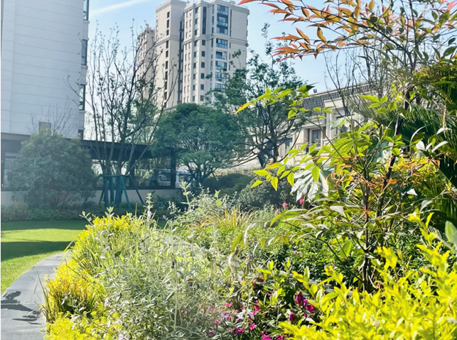 1631928636969513.png image.png