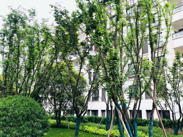 1631928645616262.png image.png